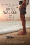 Turtle Walker