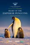 Heart of the emperor penguins