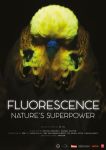 Flourescence