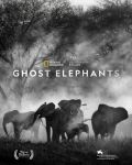 Ghost Elephants